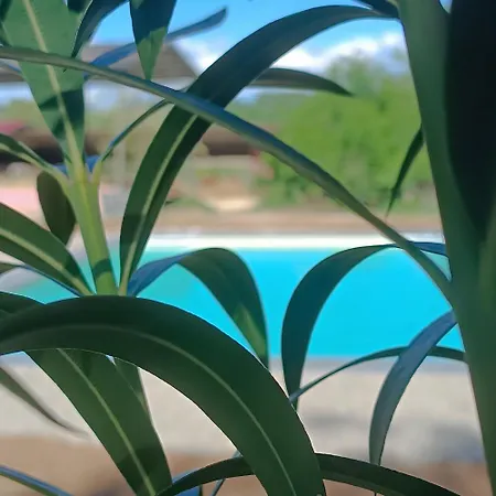 Biobagnolese Farm stay *