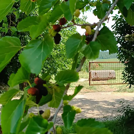 Biobagnolese Farm stay